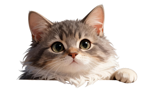 cat litter manufacturer