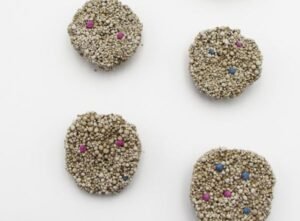 Bentonite cat litter