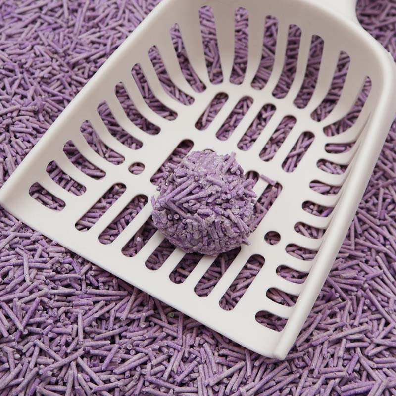 tofu cat liiter Lavender