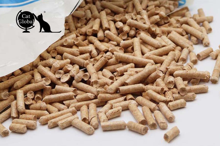 Cat Global Cat Litter VS Competitor Brands