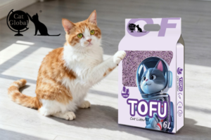 Cat Global Eco Tofu Cat Litter Full Guide