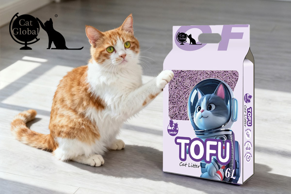 Cat Global Eco Tofu Cat Litter Full Guide