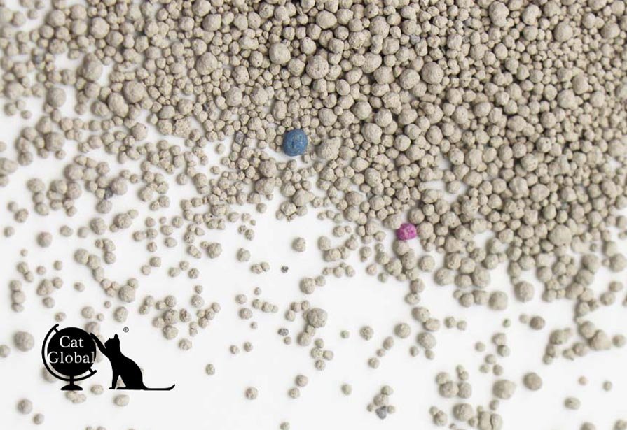 cats best litter