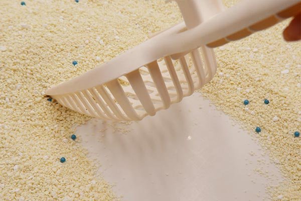 Full Analysis of the Characteristics of Cat Global Tofu Mixed Tapioca Cat Litter