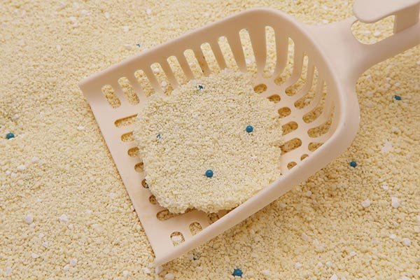 Full Analysis of the Characteristics of Cat Global Tofu Mixed Tapioca Cat Litter