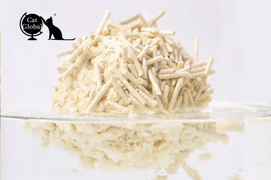 Full analysis of Cat Global cat litter characteristics