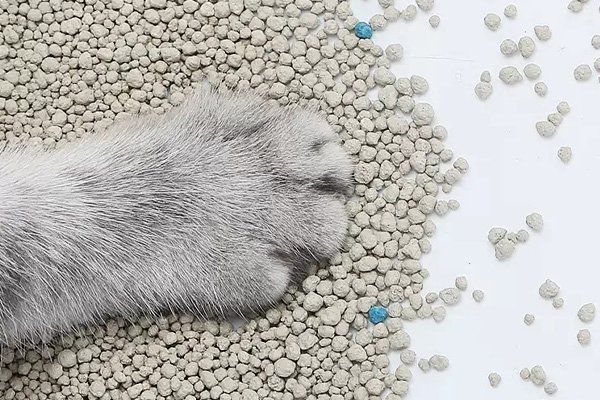 Full analysis of the characteristics of Cat Global Bentonite Cat Litter
