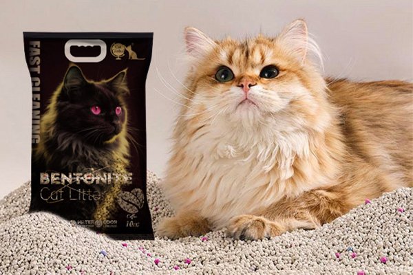 low dust clumping bentonite cat litter supplier