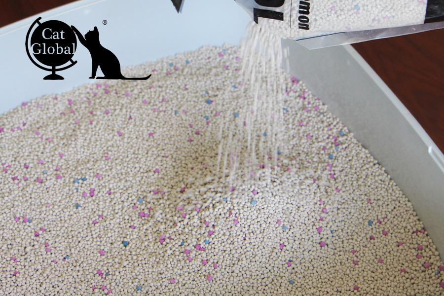 bentonite cat litter brands