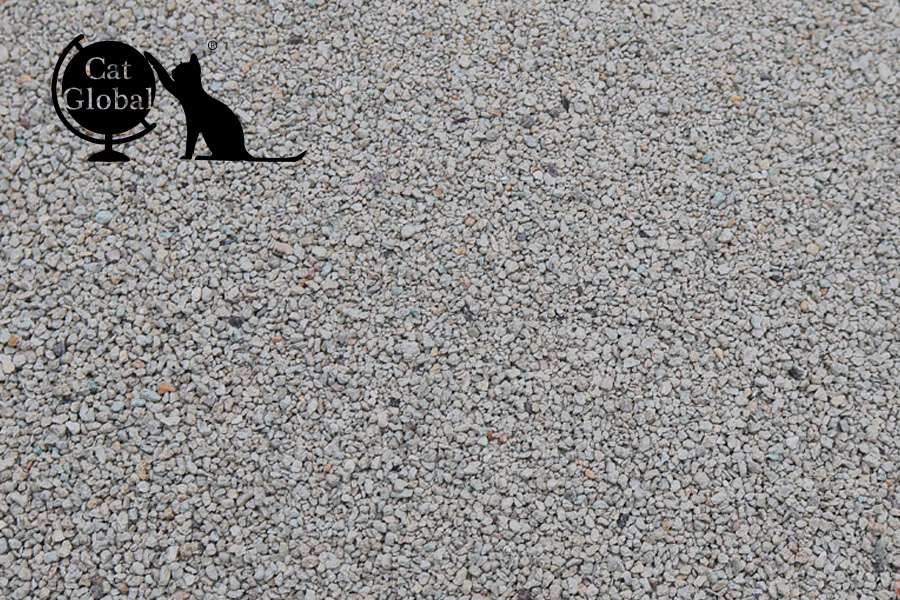 best cat litter for odor control and dust free