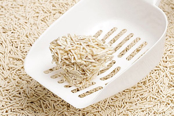 best cat litter for allergies