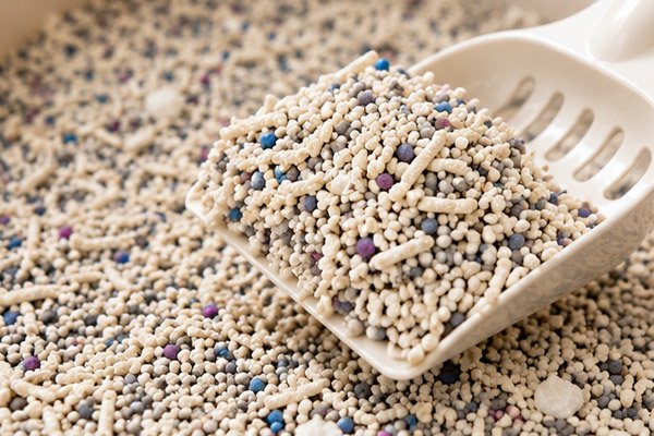 dust free clumping cat litter