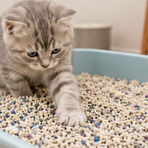 dust free clumping cat litter