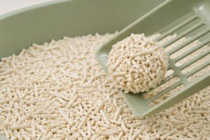 how often to change cat litter.