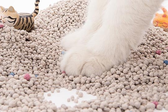 what is cat litter made of