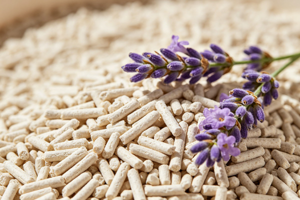 world's best cat litter lavender