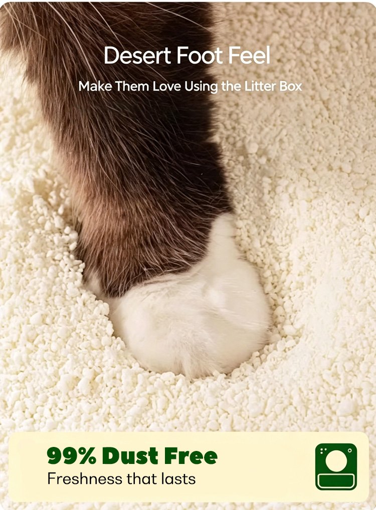 cassava cat litter manufacturer