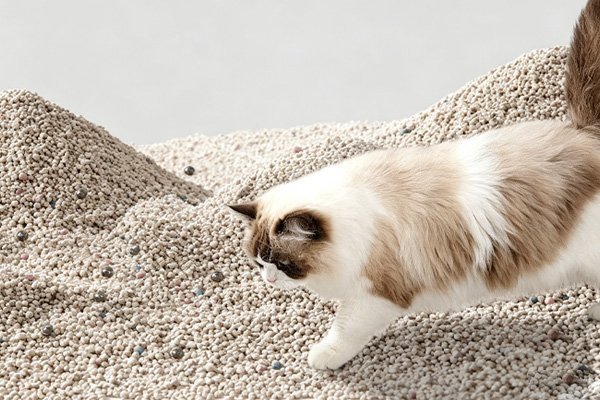 hypoallergenic cat litter