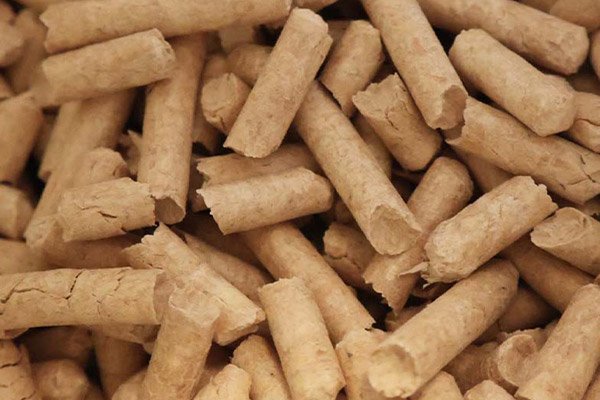 biodegradable cat litter