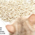 tofu cat litter