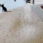 dust free cat litter