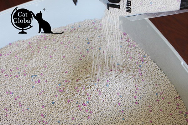 dust free cat litter