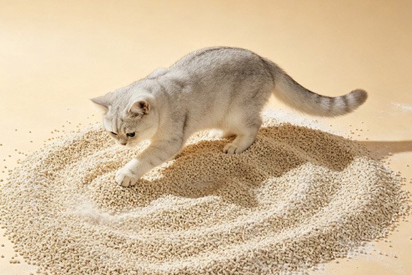 sodium bentonite cat litter brands