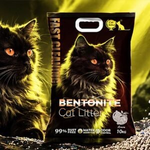 best clumping cat litter