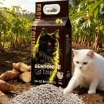 best low tracking cat litter brands