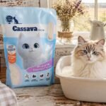sustainable cat litter brands